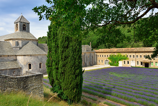 Provence. An ancient monastery Abbaye Notre-Dame de Senanque ( Abbey of Senanque) at early morning. Vaucluse, France