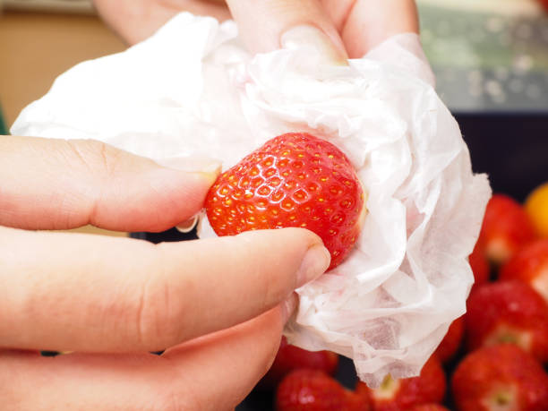 kobieta wysychająca umytą truskawkę - washing fruit preparing food strawberry zdjęcia i obrazy z banku zdjęć