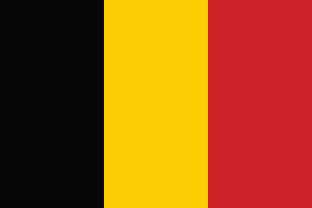 stockillustraties, clipart, cartoons en iconen met vlag van belgië - belgische vlag