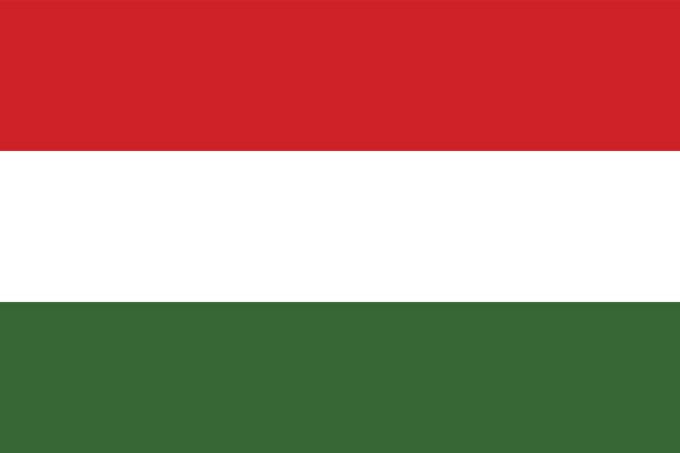 flagge von ungarn  - hungary stock-grafiken, -clipart, -cartoons und -symbole