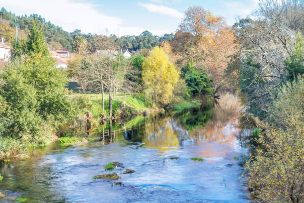 istock Trees along Umia river bank 657673262