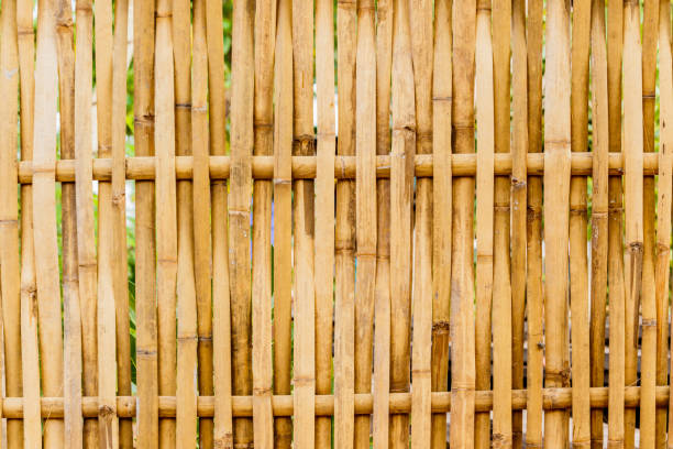 istock old grungy thai handcraft of bamboo weave pattern fence. 657681482