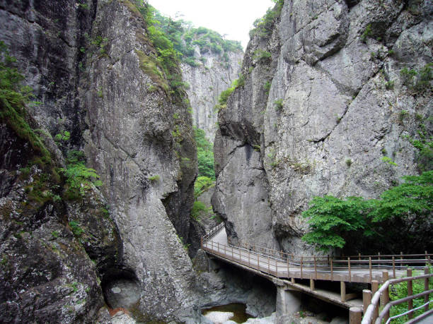 istock Mt. Juwang National Park 657694466