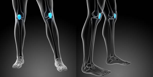 ilustração de médicos de renderização 3D do osso da patela - foto de acervo