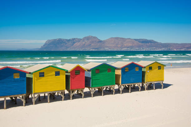 istock Colourful beach huts at Muizenberg, Cape Town 657701650