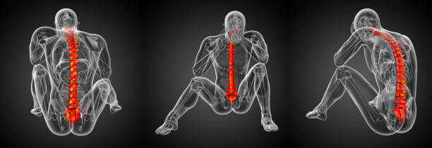 istock 3d rendering medical illustration of the human spine 657706662