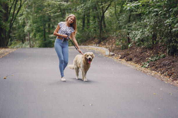 istock couple walking outdoors with her dog 657707816