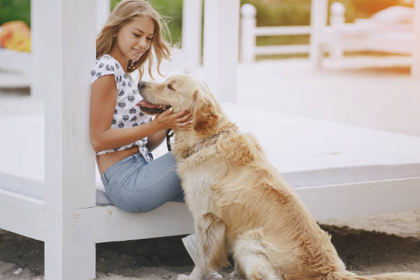 istock couple walking outdoors with her dog 657708102