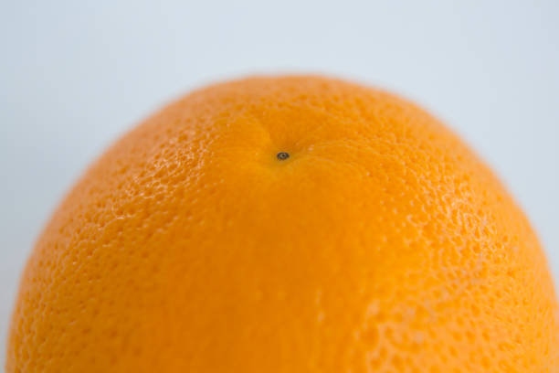 istock Close-up of orange 657726516