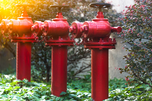 row of Red Fire Hydrants on grass.