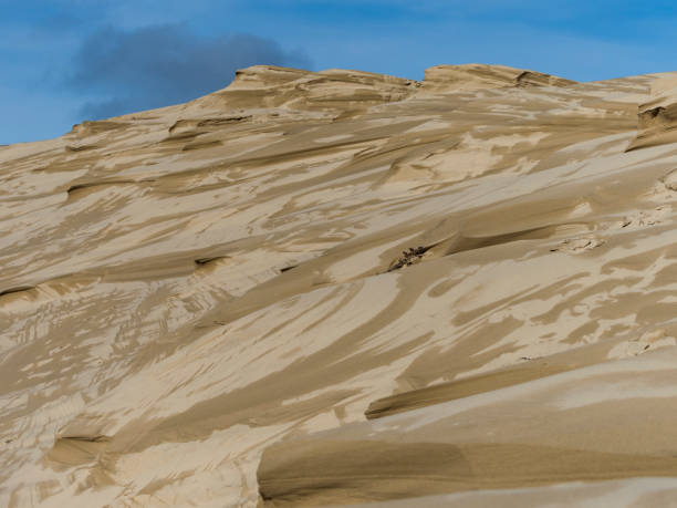 florence oregon sand dunes by jessie m. honeyman state park - honeymoon imagens e fotografias de stock