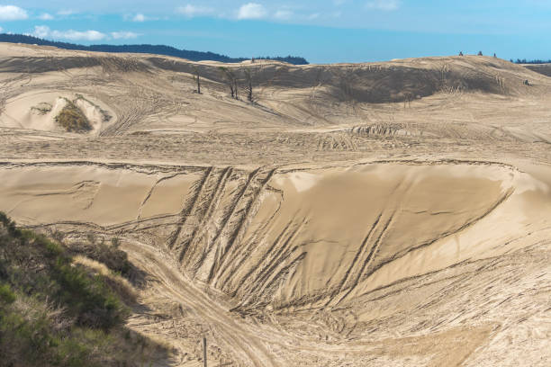 sand dunes ohv atv tracks por honeyman park florence oregon - honeymoon - fotografias e filmes do acervo