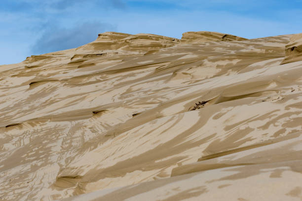 sand dunes by jessie m. honeyman state park florence oregon - honeymoon imagens e fotografias de stock