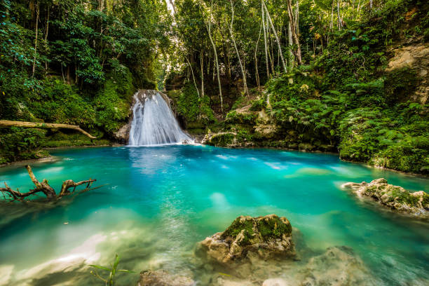 Little paradise Blue hole in the middle of Jamaica waterfall hole stock pictures, royalty-free photos & images