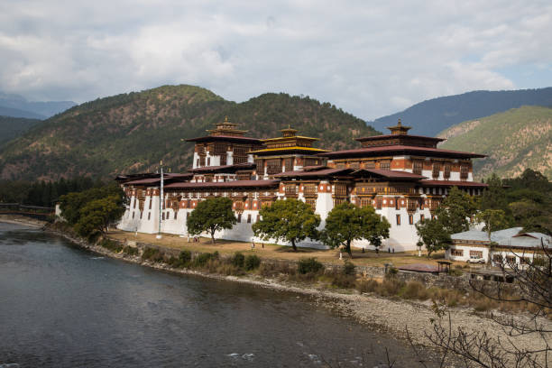 istock Punakha Dzong in Punakha, Bhutan 657746640