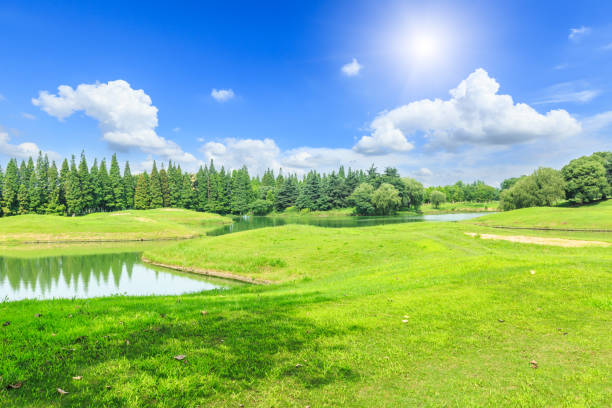 istock Green grass and sky in the summer 657746852