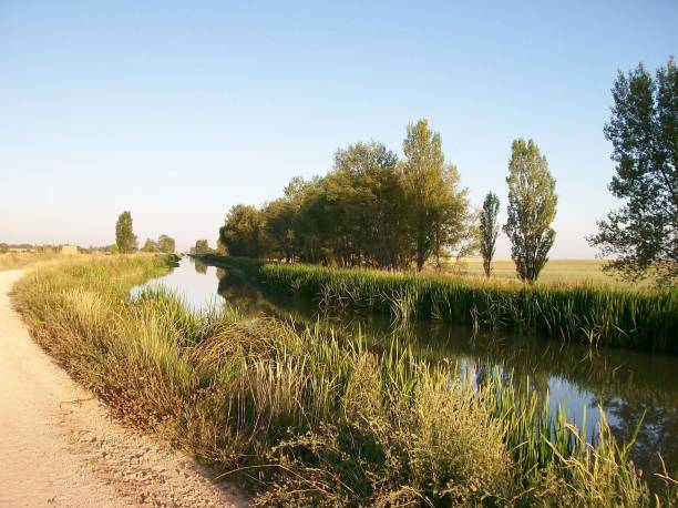 istock On the road towards santiago de compostela 657746930