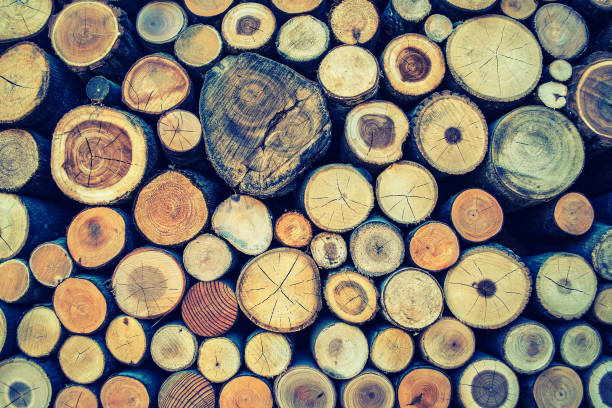 istock Timber wood  texture  nature  art  background 657750664