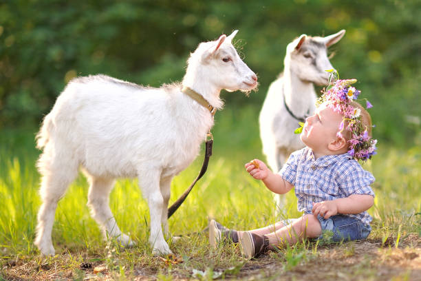 retrato de un niño en el verano al aire libre - 11323 fotografías e imágenes de stock