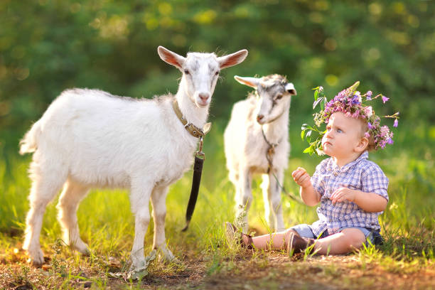 portrait of a boy in the summer outdoors - 11321 imagens e fotografias de stock