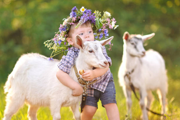 retrato de un niño en el verano al aire libre - 11320 fotografías e imágenes de stock