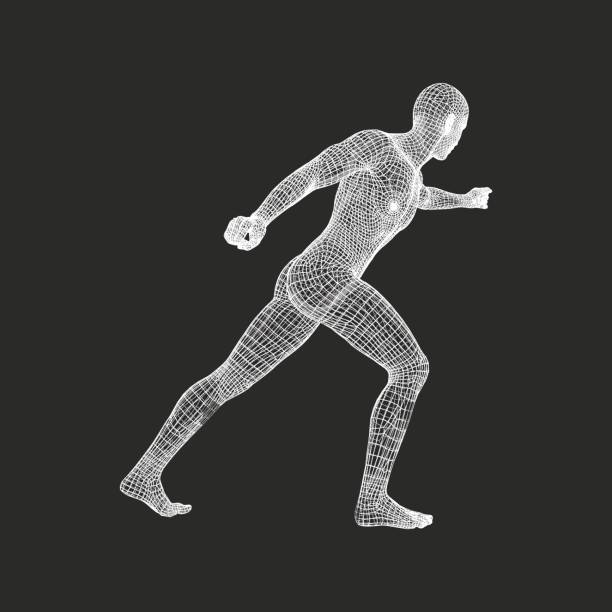 istock Fighter. 3D Model of Man. Human Body. Sport Symbol. 657764702