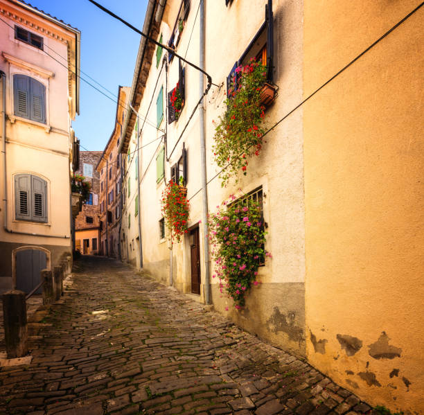 istock Motovun, Croatia. 657768994