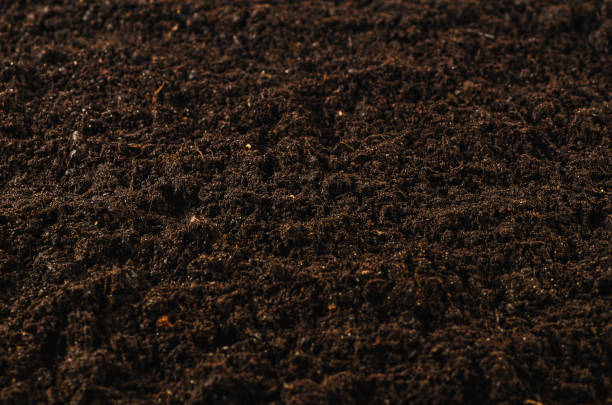 istock Fertile garden soil texture background top view 657773410