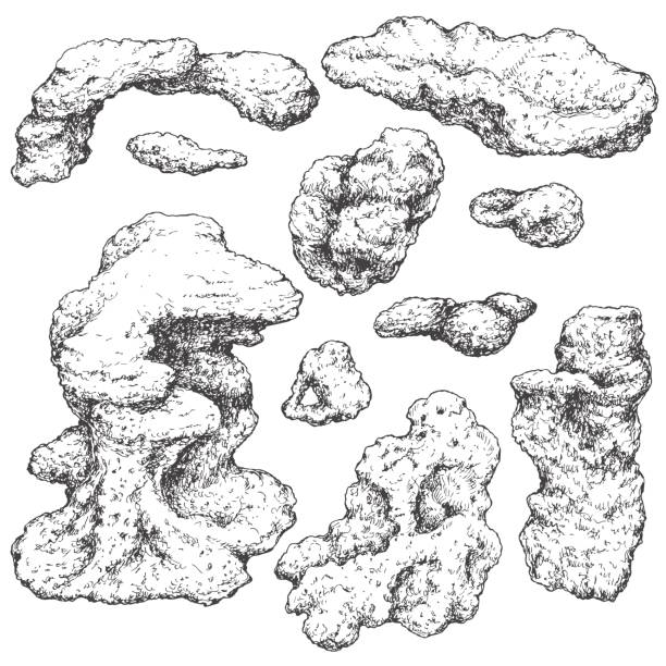 Reef Rocks Drawings 860+ Ocean Floor Rocks Illustrations, Royalty-Free Vector Graphics ...