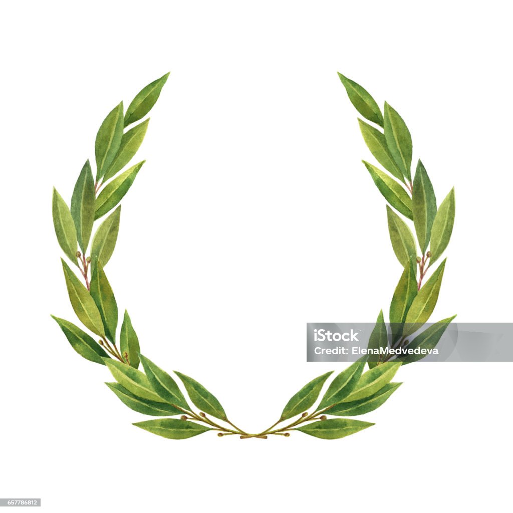 Watercolor Bay leaf wreath isolated on white background. Watercolor Bay leaf wreath isolated on white background. Hand drawn illustration for sports achievements, awards, victories and success.. Wreath stock illustration