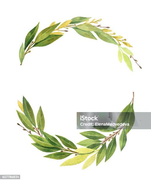 Watercolor Bay Leaf Wreath Isolated On White Background Stock Illustration - Download Image Now