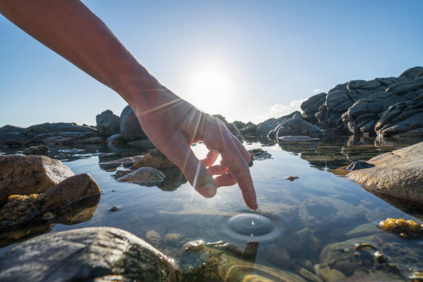 Girl pointing at a tidal pool