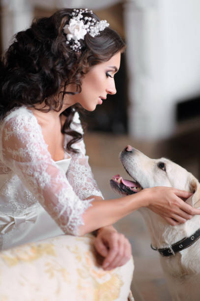 istock portrait of a beautiful bride in summer 657794862