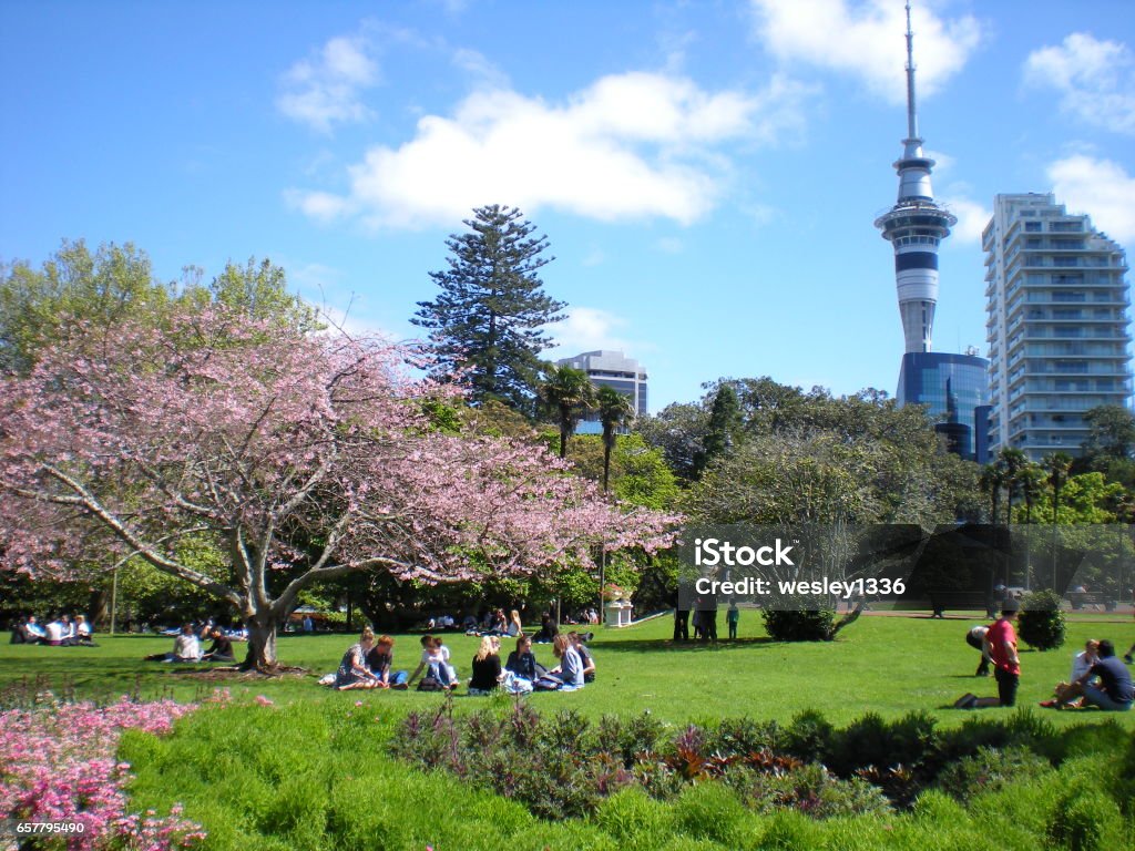 Spring in Albert Park Spring time in Auckland Albert Park New Zealand Auckland Stock Photo