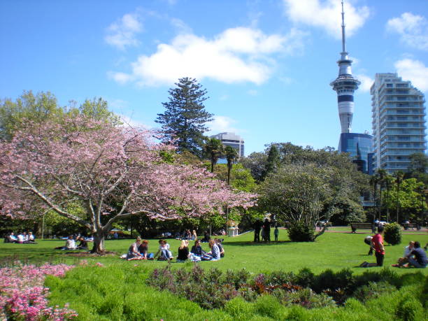 Spring in Albert Park Spring time in Auckland Albert Park New Zealand albert park photos stock pictures, royalty-free photos & images