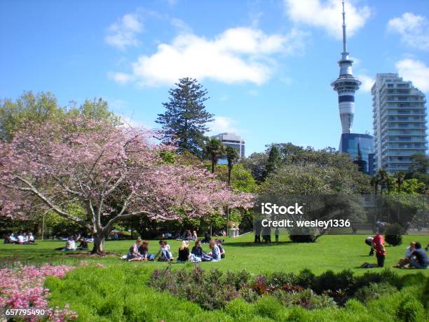 Spring In Albert Park Stock Photo - Download Image Now - Auckland, New Zealand, People