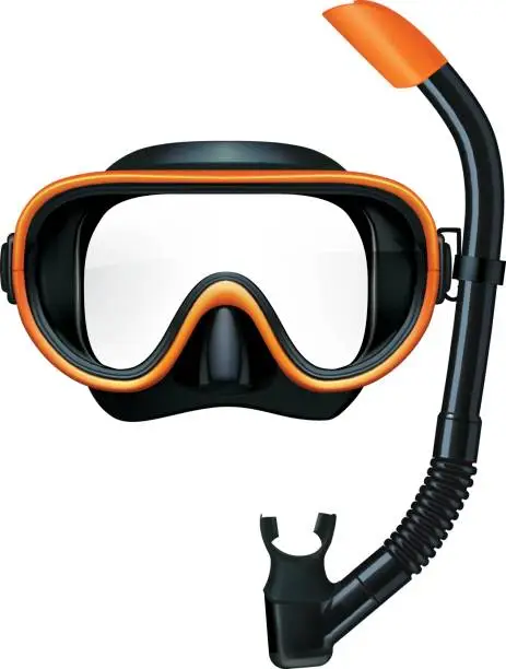 Vector illustration of Dive mask and snorkel for professionals. Vector illustration