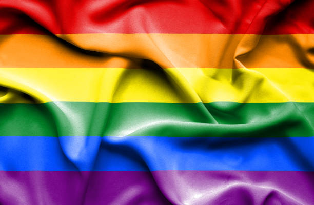 istock Gay (Pride) waving flag 657795852