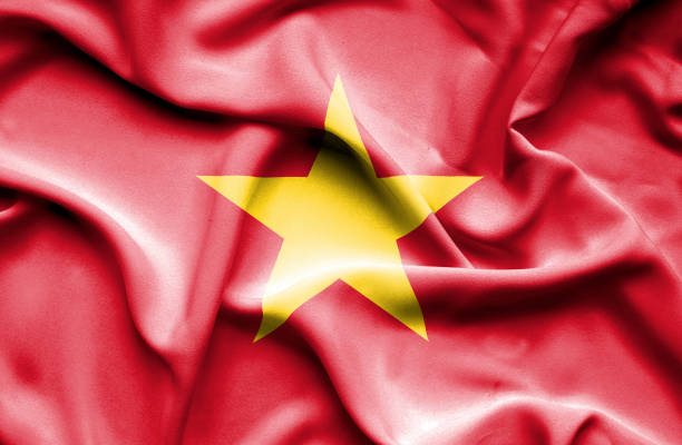 istock Vietnam waving flag 657796300