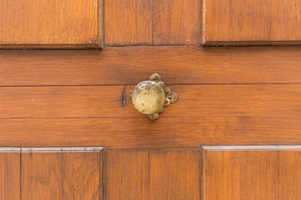 istock Simple metal door knob 657806116