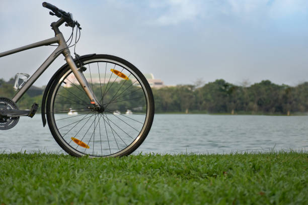 istock Bicycles parked near a quiet pond. 657809072