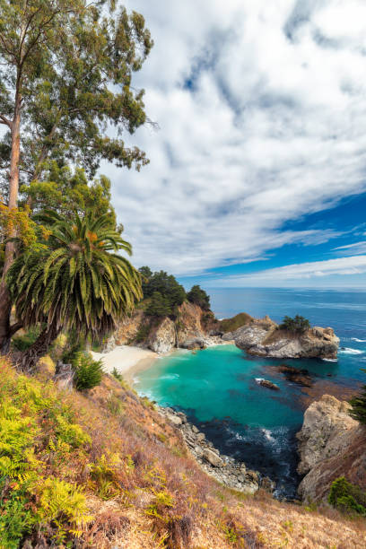 istock California coast, Julia Pfeiffer Burns State Park 657809496