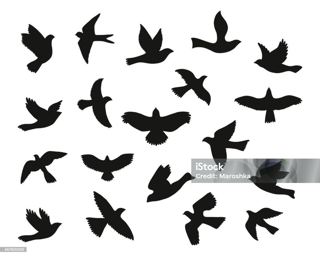 Print Set of bird flying silhouettes. Vector illustration. Bird stock vector