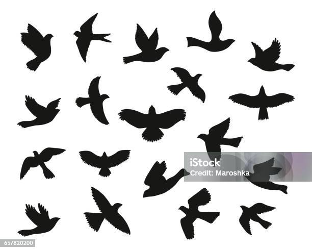 Print Stock Illustration - Download Image Now - Bird, Flying, Dove - Bird