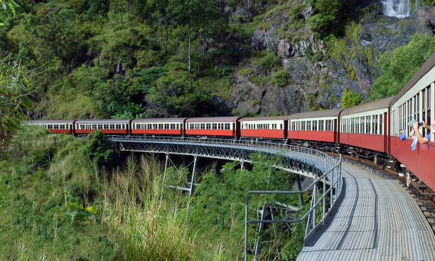 Scenic train turning a curve A scenic colorful train turns a curve with tropical vegetation background cairns photos stock pictures, royalty-free photos & images