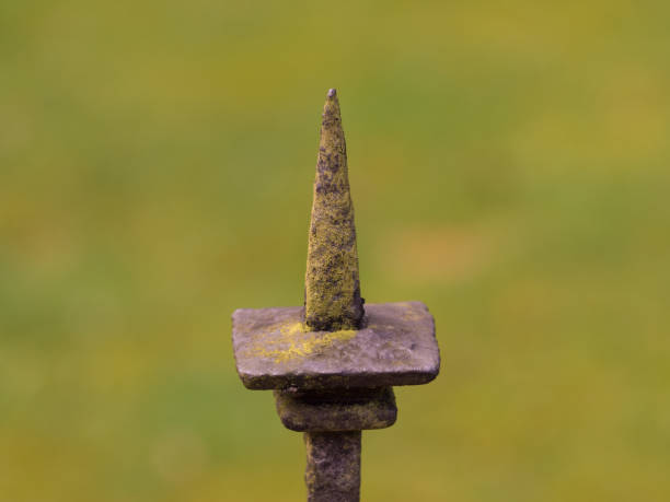 istock metal fence spike with lichens 657826982