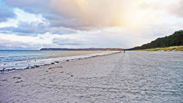 baltic sea beach near binz, ruegen ostseebad - binz imagens e fotografias de stock