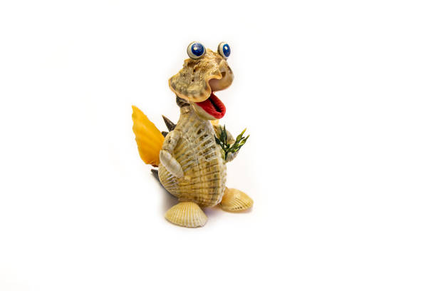 istock dragon of the sea shells souvenir 657827338