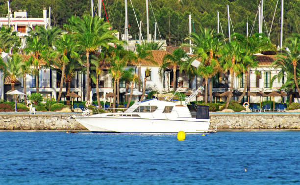 istock Speedboat moored at the dock on tropical island. 657836094