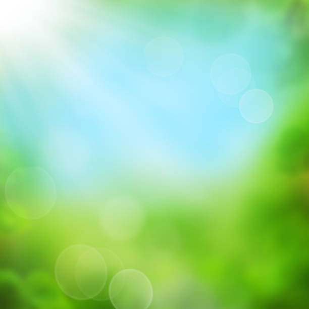istock Abstract summer background - blurred sky and foliage 657837252